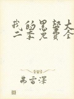 我的黑帮大佬第二季免费全集