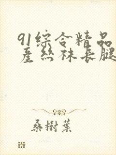 91综合精品国产丝袜长腿久久