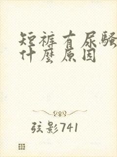 短裤有尿骚味是什么原因