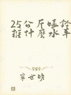 25公斤哑铃卧推什么水平