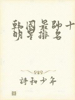 韩国最帅十大男明星排名