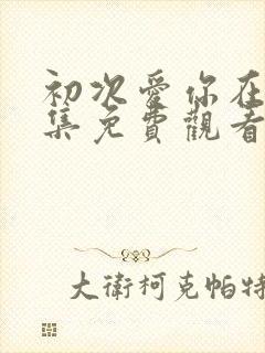 初次爱你在线全集免费观看完整版