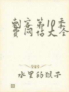 刺客第10季免费网站大全