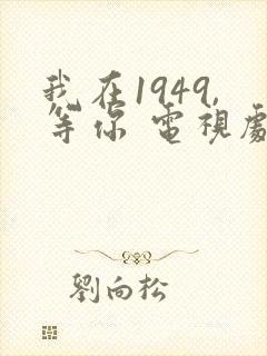 我在1949,等你 电视剧