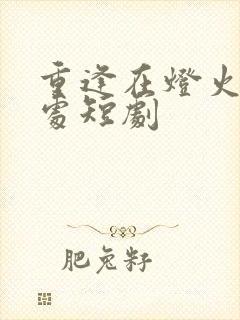 重逢在灯火阑珊处短剧封面