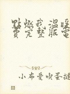 点燃我温暖你免费完整版电视剧高清