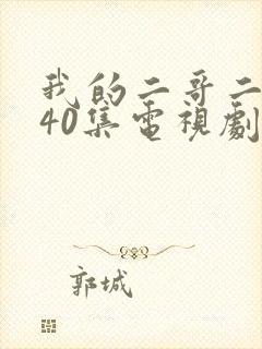我的二哥二嫂第40集电视剧