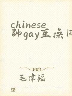 chinese帅gay互操网站asian