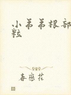 小弟弟根部小肉粒