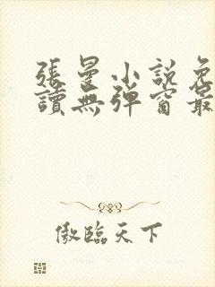 张曼小说免费阅读无弹窗最新章节