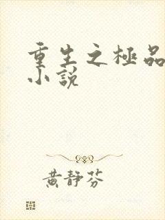 重生之极品废材小说