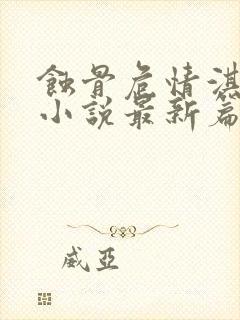 蚀骨危情淇老游小说最新篇章