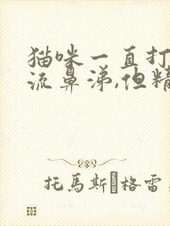 猫咪一直打喷嚏流鼻涕,但精神很好