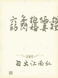 六年抱俩,总裁的闪婚妻短剧