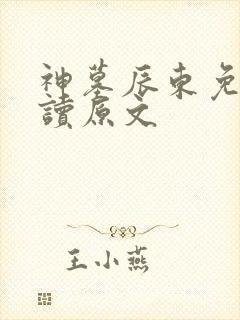 神墓辰东免费阅读原文封面