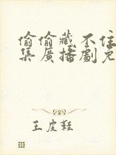 偷偷藏不住18集广播剧免费听