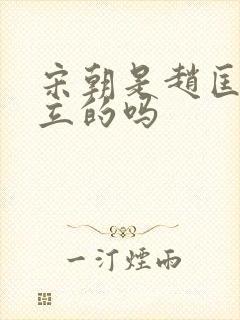 宋朝是赵匡胤建立的吗