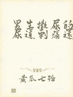 男生撒尿的时候尿道刺痛还尿血