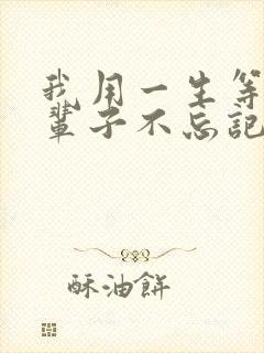 我用一生等你这辈子不忘记是什么歌