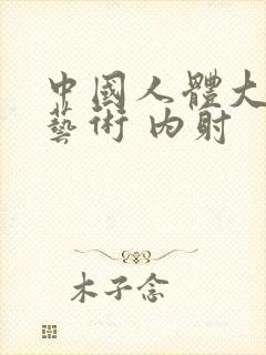 中国人体大尺度艺术 内射