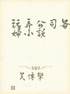 玩弄公司各种美妇小说