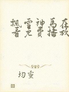 飘雪神马在线观看免费播放电视剧封面