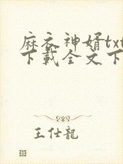 麻衣神婿txt下载全文下载