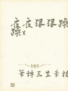 夜夜狠狠躁日日躁x