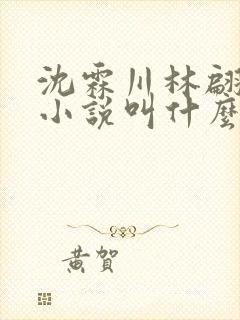 沈霖川林翩月的小说叫什么名字封面