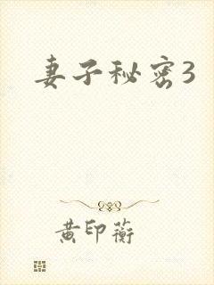 妻子秘密3