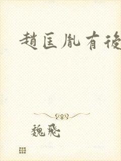 赵匡胤有后代吗封面