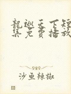 龙巡天下短剧全集免费播放完整版