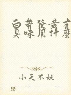 白带发黄有鱼腥臭味用什么药