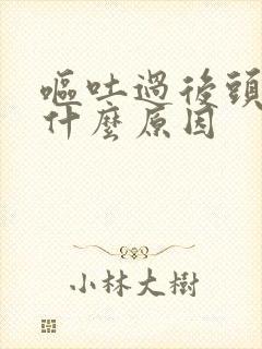 呕吐过后头疼是什么原因