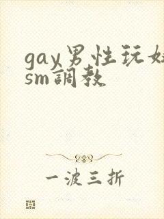 gay男性玩奴sm调教