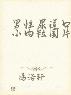 男性尿道口长了小肉粒图片