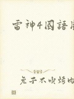 雷神4国语版
