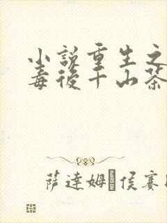 小说重生之将门毒后千山茶客目录封面