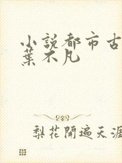小说都市古仙医叶不凡