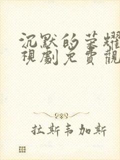 沉默的荣耀 电视剧免费观看全集