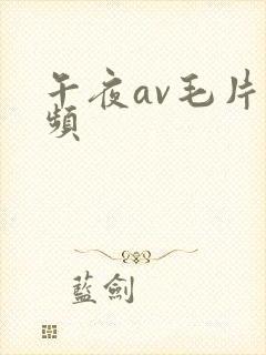 午夜av毛片视频