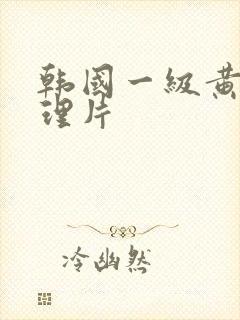 韩国一级黄色伦理片