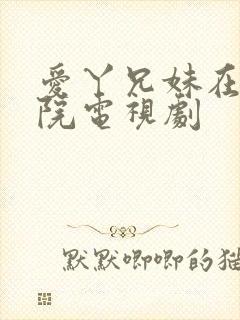 爱丫兄妹在线影院电视剧封面