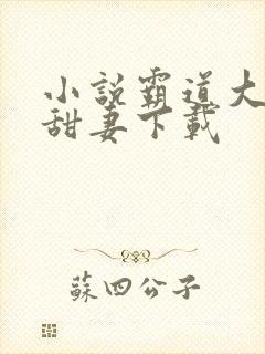 小说霸道大叔宠甜妻下载