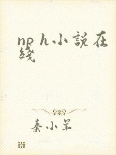 np h小说在线封面