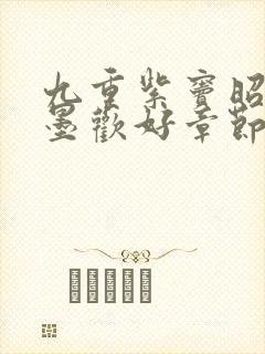 九重紫窦昭和宋墨欢好章节