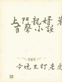 上门龙婿 叶辰 有声小说