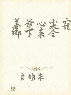 姜爷心尖宠她从乡下来全