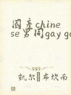 国产chinese男同gay gay
