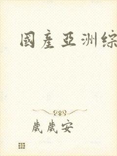 国产亚洲综合的